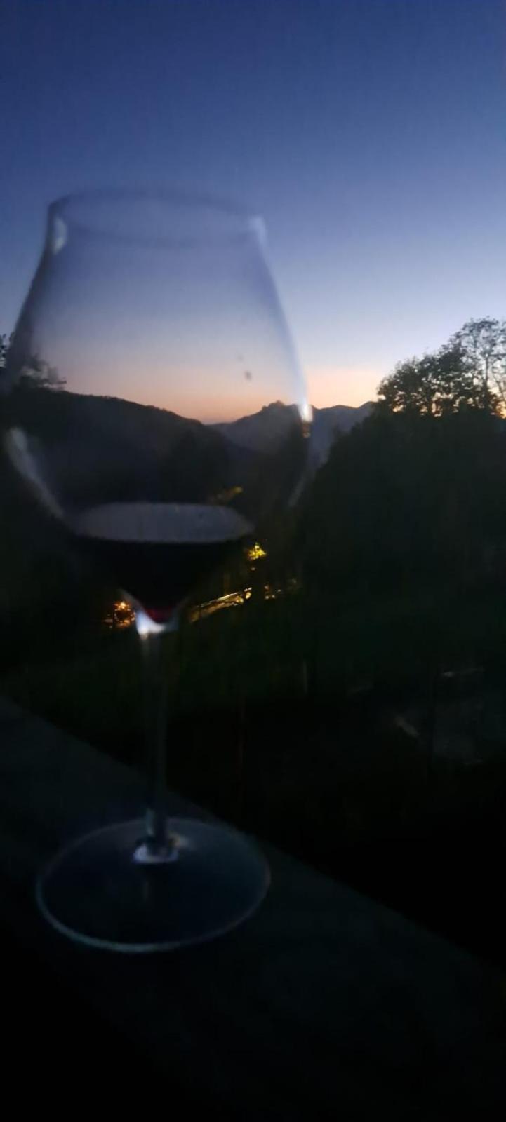 Dossena Dimora Storica Al Lac Conte Tomaselli Villa Madonna della Costa Esterno foto
